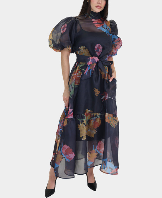 Sheer Floral Print Puff Sleeve Dress view