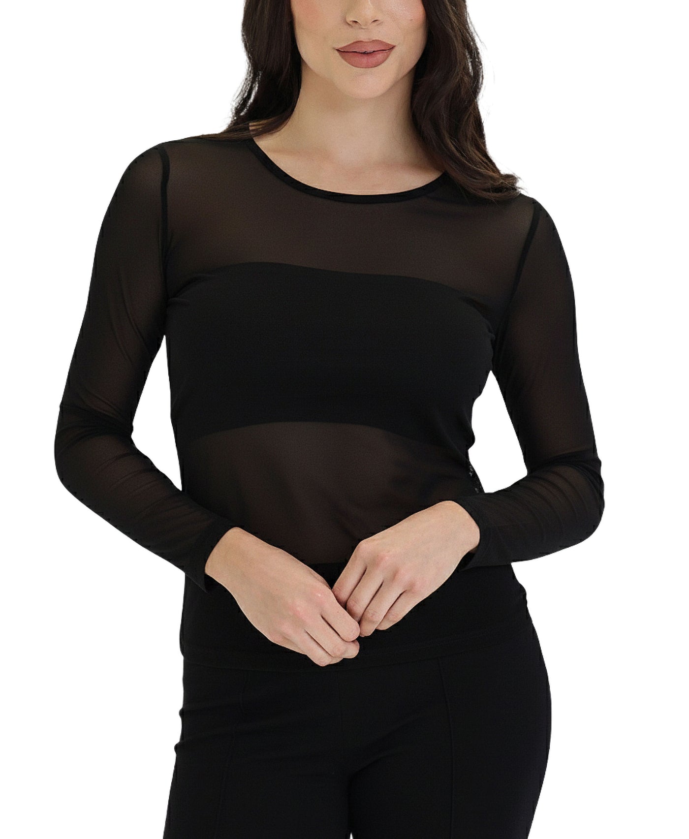 Sheer Mesh Top view 1