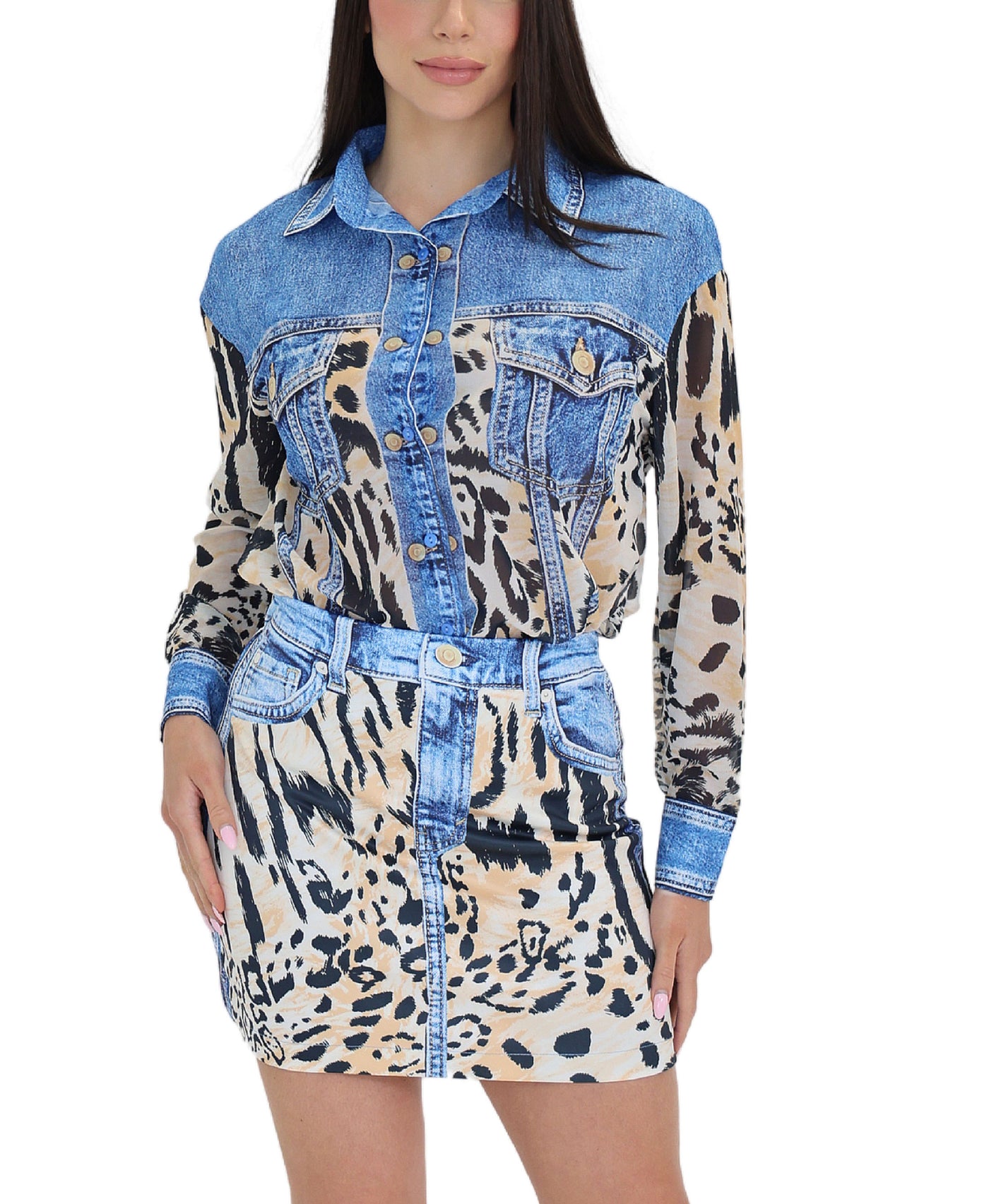 Denim & Animal Printed Top & Skirt Set - 2 Pc Set view 1