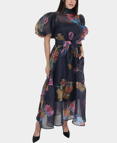 Sheer Floral Print Puff Sleeve Dress image 1