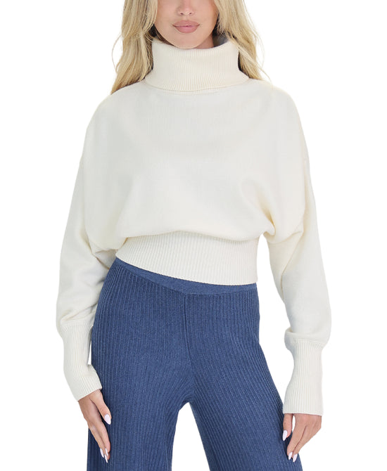 Turtleneck Sweater view 